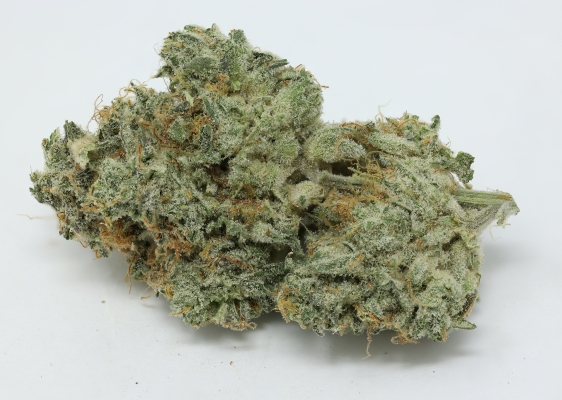 Mail order 420